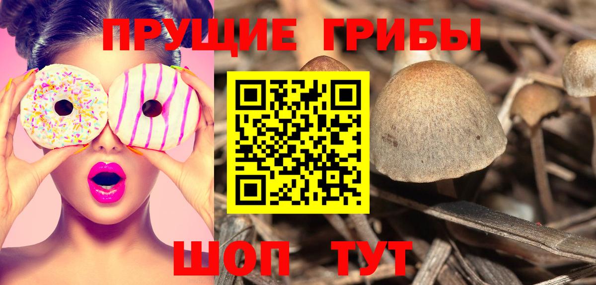 Галлюциногенные грибы Psilocybine cubensis Новокуйбышевск
