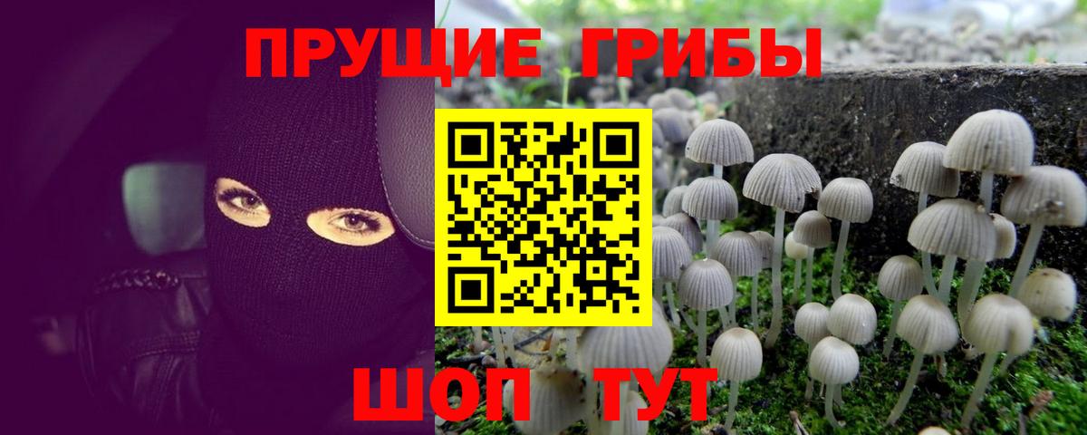 Новокуйбышевск  где продают наркотики  Вход с VPN  Галлюциногенные грибы Magic Shrooms 